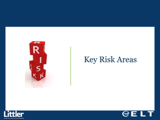 Key Risk Areas  