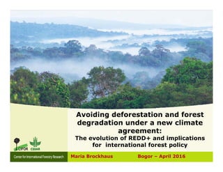 Avoiding deforestation and forest
degradation under a new climate
agreement:
The evolution of REDD+ and implications
for international forest policy
Maria Brockhaus Bogor – April 2016
 