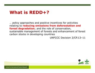 Avoiding deforestation and forest degradation under a new climate ...