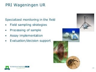 13
Specialized monitoring in the field
• Field sampling strategies
• Processing of sample
• Assay implementation
• Evaluation/decision support
PRI Wageningen UR
 