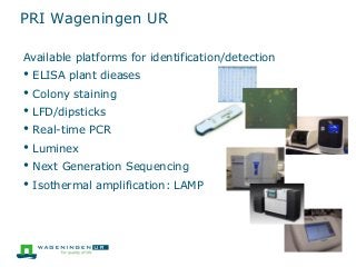Available platforms for identification/detection
• ELISA plant dieases
• Colony staining
• LFD/dipsticks
• Real-time PCR
• Luminex
• Next Generation Sequencing
• Isothermal amplification: LAMP
PRI Wageningen UR
 