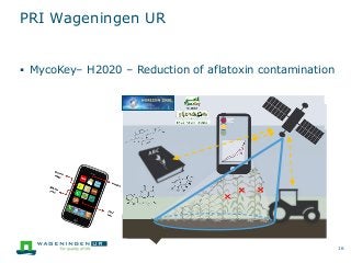 PRI Wageningen UR
 MycoKey– H2020 – Reduction of aflatoxin contamination
16
 