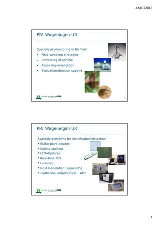  Targeted quantitative analysis; full-
scan accurate mass for multi-target
screening, biomarker detection and
unknown hazards
 UPLC-ToF / UPLC-FT MS; GC×GC-
MS(MS) Data (magnet sector, triple
quad); GC X GC–TOF-MS; LC-MS(MS)
(triple quad); NMR; FT-IR
 Development and testing of on-site
tests Dipstick / ELISA/LUMINEX
 Chipbased UPLC (NanoTile), green
chemistry
7
RIKILT Wageningen UR
 