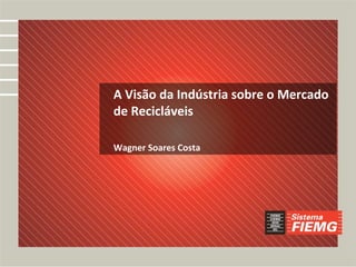 A Visão da Indústria sobre o Mercado
de Recicláveis

Wagner Soares Costa
 