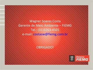 Desafios
      Wagner Soares Costa
Gerente de Meio Ambiente – FIEMG
       Tel.: (31)3263-4501
  e-mail: costasw@fiemg.com.br


          OBRIGADO!
 