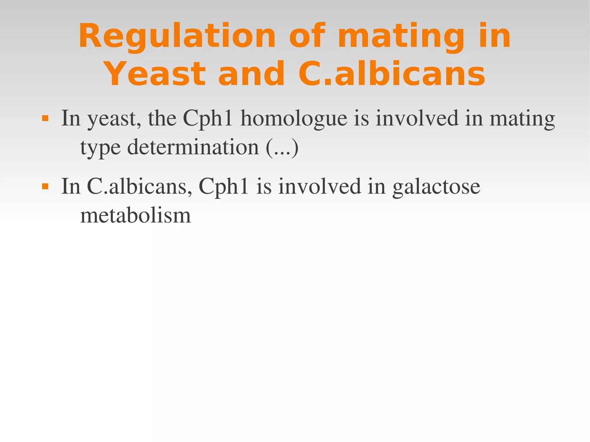 Regulation of mating in
      Yeast and C.albicans
   In yeast, the Cph1 homologue is involved in mating 
      type determination (...)
   In C.albicans, Cph1 is involved in galactose 
      metabolism
 