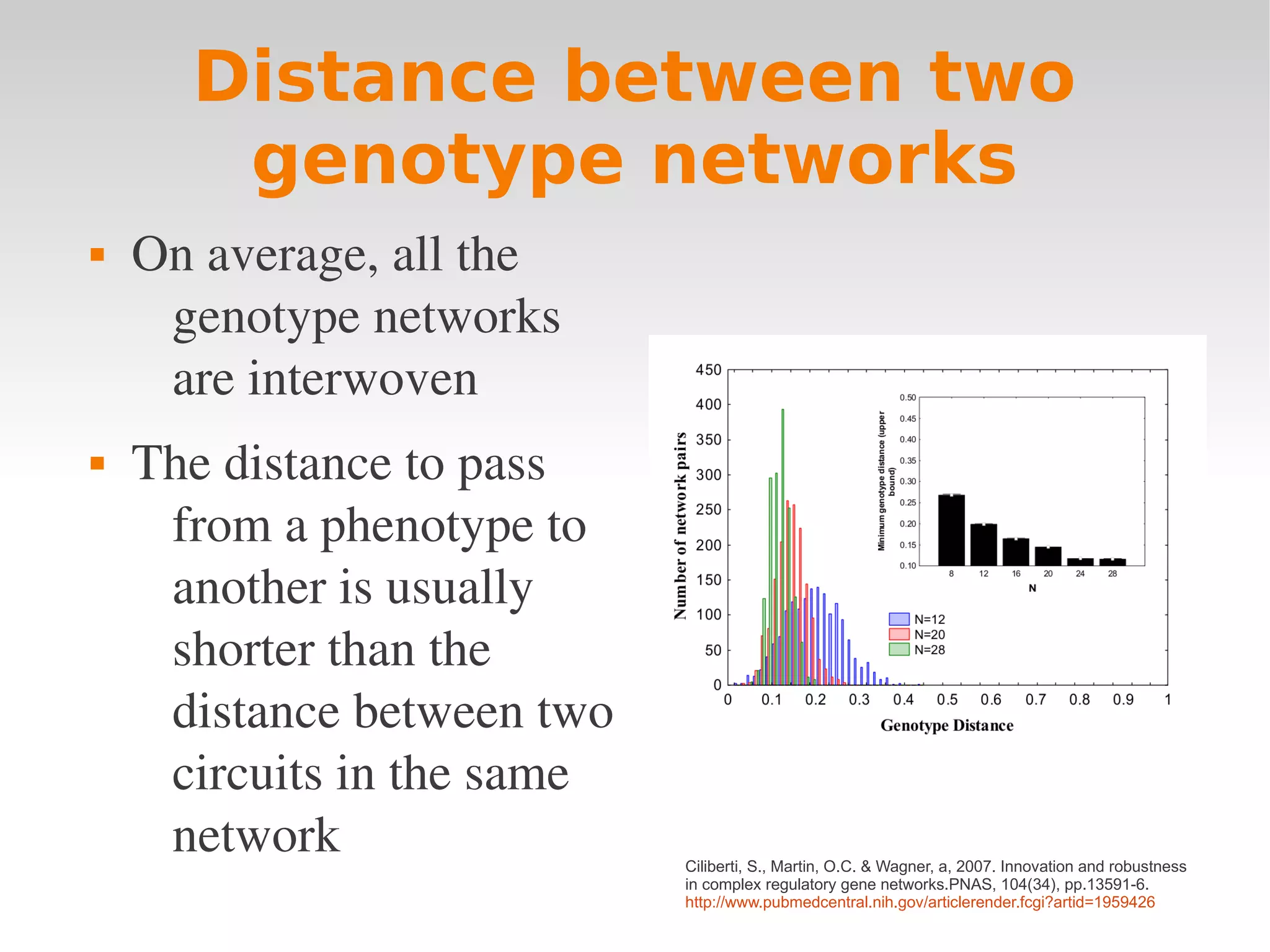 Distance between two
       genotype networks
   On average, all the 
     genotype networks 
     are interwoven 
   The distance to pass 
     from a phenotype to 
     another is usually 
     shorter than the 
     distance between two 
     circuits in the same 
     network                 Ciliberti, S., Martin, O.C. & Wagner, a, 2007. Innovation and robustness
                             in complex regulatory gene networks.PNAS, 104(34), pp.13591-6.
                             http://www.pubmedcentral.nih.gov/articlerender.fcgi?artid=1959426
 