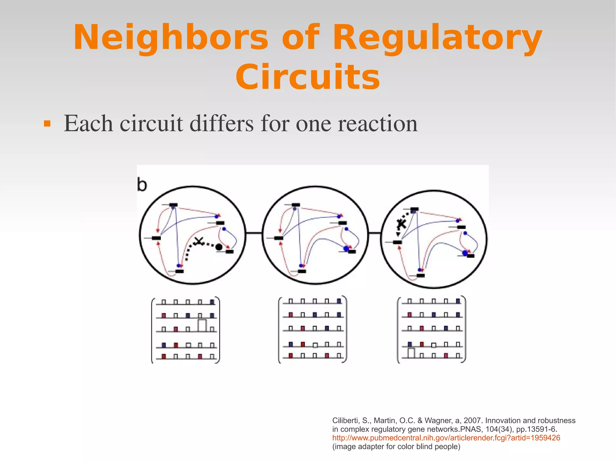 Neighbors of Regulatory
           Circuits
   Each circuit differs for one reaction




                                Ciliberti, S., Martin, O.C. & Wagner, a, 2007. Innovation and robustness
                                in complex regulatory gene networks.PNAS, 104(34), pp.13591-6.
                                http://www.pubmedcentral.nih.gov/articlerender.fcgi?artid=1959426
                                (image adapter for color blind people)
 