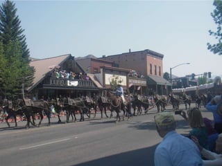 Wagon Days2