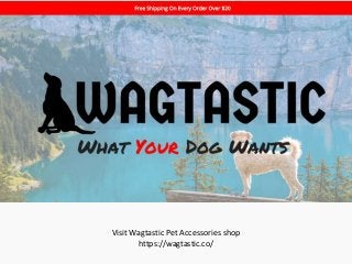 Visit Wagtastic Pet Accessories shop
https://wagtastic.co/
 