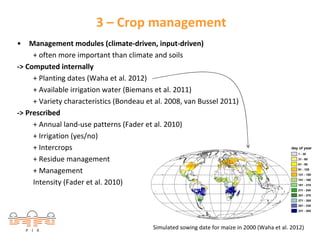 3 – Crop management
•

Management modules (climate‐driven, input‐driven)
+ often more important than climate and soils
‐> Computed internally
+ Planting dates (Waha et al. 2012) 
+ Available irrigation water (Biemans et al. 2011)
+ Variety characteristics (Bondeau et al. 2008, van Bussel 2011)
‐> Prescribed
+ Annual land‐use patterns (Fader et al. 2010)
+ Irrigation (yes/no)
+ Intercrops 
+ Residue management
+ Management 
Intensity (Fader et al. 2010)

Simulated sowing date for maize in 2000 (Waha et al. 2012)

 