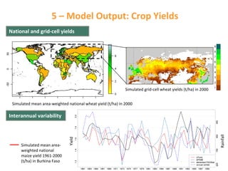 5 – Model Output: Crop Yields
National and grid‐cell yields

Simulated grid‐cell wheat yields (t/ha) in 2000
Simulated mean area‐weighted national wheat yield (t/ha) in 2000

Rainfall

Simulated mean area‐
weighted national 
maize yield 1961‐2000 
(t/ha) in Burkina Faso

Yield

Interannual variability

 