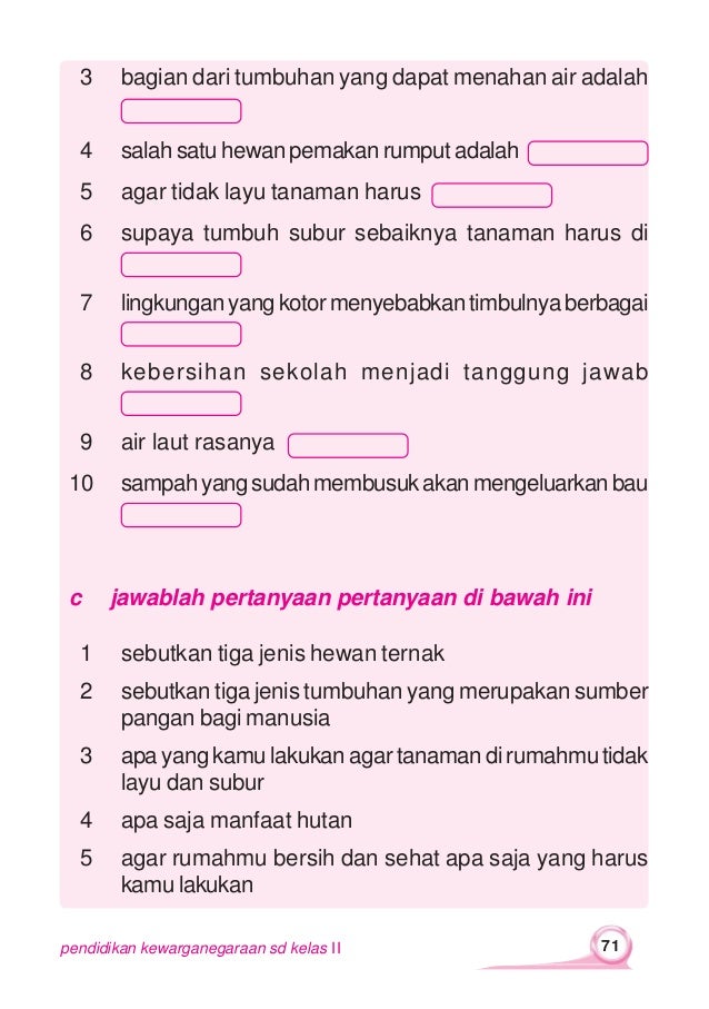 Wahana belajar pendidikan kewarganegaraan untuk kelas 2 