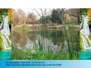 NaturWith Spring Water.
By Asad janjua - Own work, CC BY-SA 3.0,
https://commons.wikimedia.org/w/index.php?curid=35153985
 