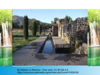 Garden View.
By Mobeen ur Rehman - Own work, CC BY-SA 4.0,
https://commons.wikimedia.org/w/index.php?curid=51636185
 