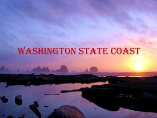 Washington state coast
 