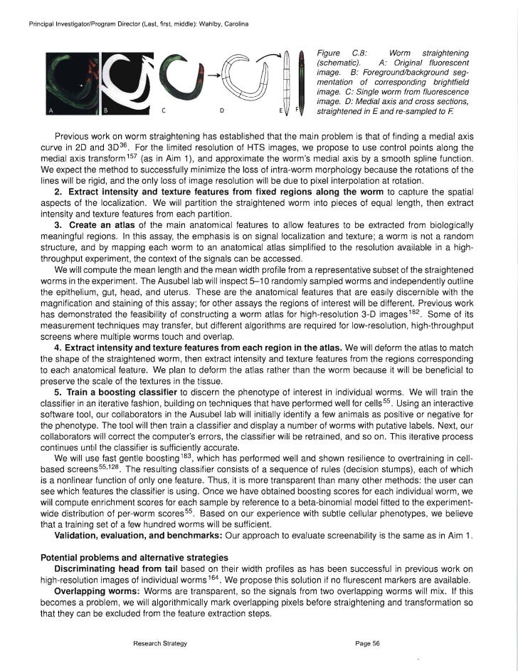 Grant specific aims example image