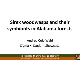 Forest Health Dynamics Laboratory
School of Forestry and Wildlife Sciences – Auburn University
Sirex woodwasps and their
symbionts in Alabama forests
Andrea Cole Wahl
Sigma Xi Student Showcase
 