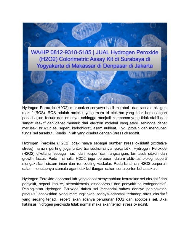 WA/HP 081293185185 JUAL Colorimetric Assay Kit Hydrogen Peroxide (H2O2)