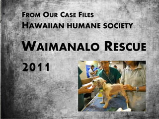 FROM OUR CASE FILES
HAWAIIAN HUMANE SOCIETY
WAIMANALO RESCUE
2011
 