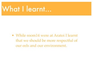 What I learnt...


   • While room14 were at Aratoi I learnt
     that we should be more respectful of
     our eels and our environment.
 