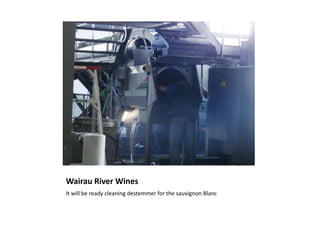 Wairau River WinesIt will be ready cleaning destemmer for the sauvignon Blanc