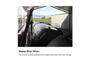 Wairau River WinesThe 3 20 ton presses looking to the vineyard they work 24/7 over vintage