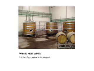 Wairau River Wines3 of the 6 Cuves waiting for the pinot noir