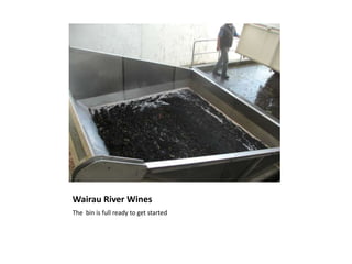 Wairau River WinesThe  bin is full ready to get started