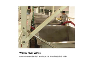 Wairau River WinesAssistant winemaker Nick  waiting at the 9 ton Pinots Noir tanks 