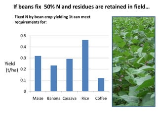 If beans fix 50% N and residues are retained in field…
    Fixed N by bean crop yielding 1t can meet
    requirements for:...