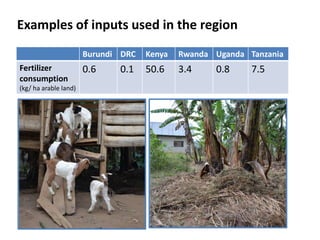 Examples of inputs used in the region
                       Burundi DRC   Kenya   Rwanda Uganda Tanzania
Fertilizer      ...