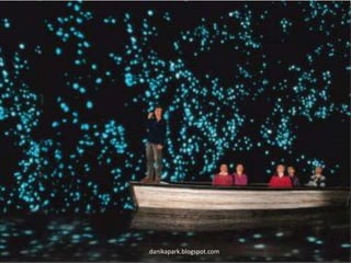 danikapark.blogspot.com
 