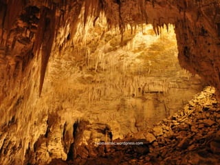 tuomasmac.wordpress.com
 