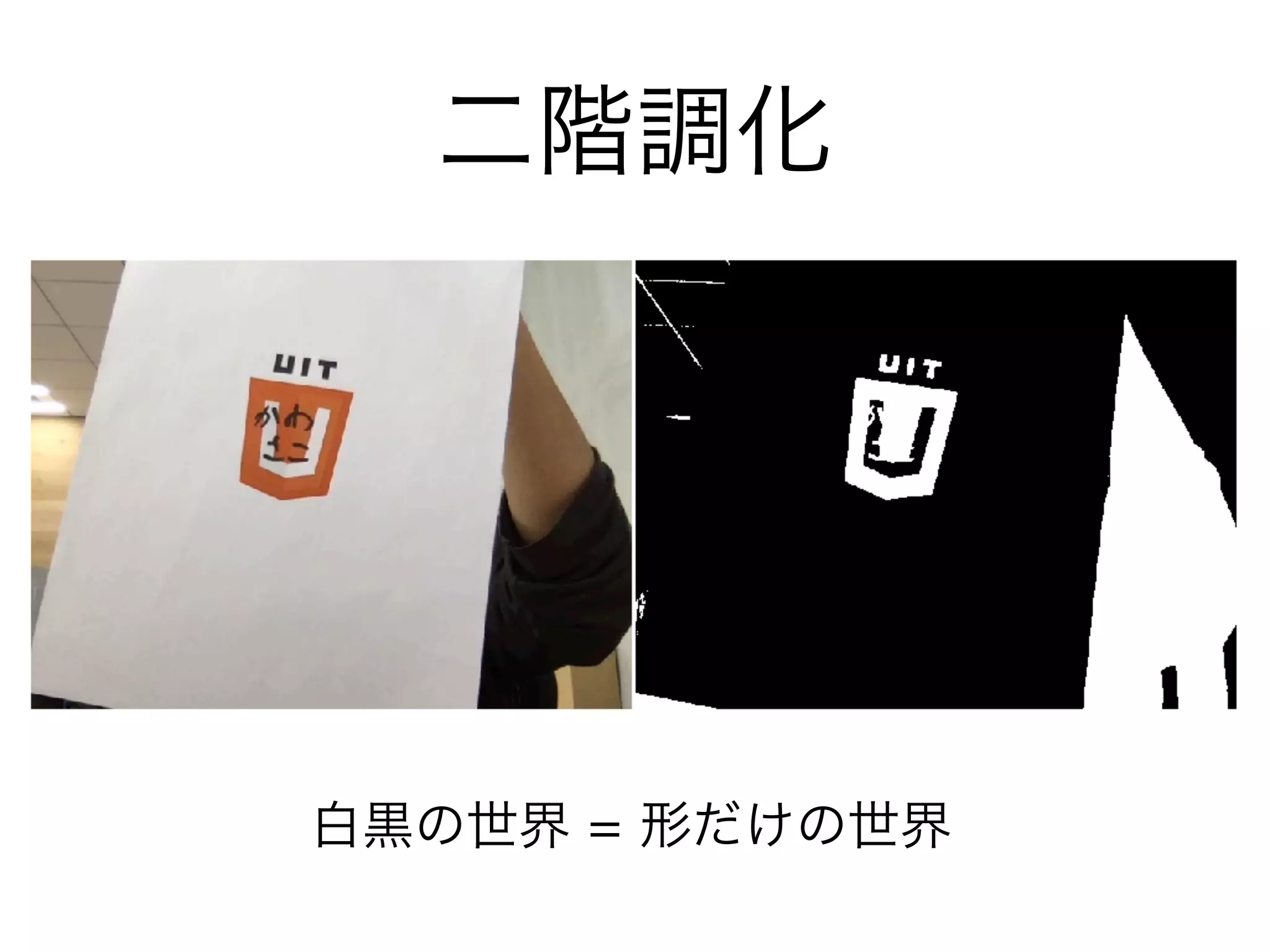 二階調化
白黒の世界 = 形だけの世界
 