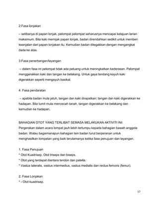 17
2.Fasa lonjakan
– setibanya di papan lonjak, pelompat pelompat seharusnya mencapai kelajuan larian
maksimum. Bila kaki memijak papan lonjak, badan direndahkan sedikit untuk memberi
keanjalan dari papan lonjakan itu. Kemudian badan ditegakkan dengan mengangkat
dada ke atas.
3.Fasa penerbangan/layangan
– dalam fasa ini pelompat tidak ada peluang untuk meningkatkan kederasan. Pelompat
menggerakkan kaki dan tangan ke belakang. Untuk gaya tendang kayuh kaki
digerakkan seperti mengayuh basikal.
4. Fasa pendaratan
– apabila badan mula jatuh, tangan dan kaki dirapatkan; tangan dan kaki digerakkan ke
hadapan. Bila tumit mula mencecah tanah, tangan digerakkan ke belakang dan
kemudian ke hadapan.
BAHAGIAN OTOT YANG TERLIBAT SEMASA MELAKUKAN AKTIVITI INI:
Pergerakan dalam acara lompat jauh lebih tertumpu kepada bahagian bawah anggota
badan. Walau bagaimanapun bahagian lain badan turut berperanan untuk
menghasilkan lompatan yang baik terutamanya ketika fasa penujuan dan layangan.
1. Fasa Penujuan
* Otot Kuadrisep, Otot triseps dan biseps.
* Otot yang terdapat diantara tendon dan patella.
* Vastus lateralis, vastus intermedius, vastus medialis dan rectus femoris (femur).
2. Fasa Lonjakan
* - Otot kuadrisep.
 