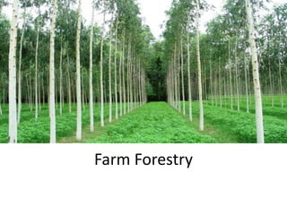 Farm Forestry
 