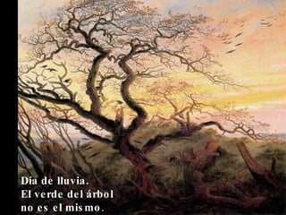 Día de lluvia. El verde del árbol no es el mismo .  