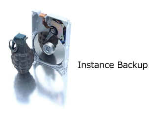 Instance Backup
 