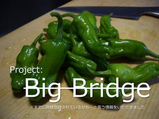 Project:

   Big Bridge
    ※すでに商標登録されているかも…と言う情報をいただきました
 