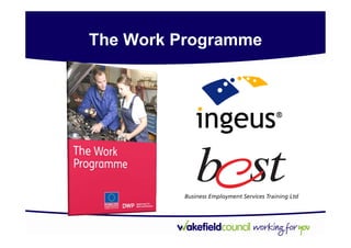 The Work Programme
 