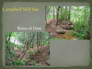 Taking representative photographs of the existing conditions of the site. 