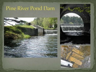 Libby & Woodman – Chick Mill SiteRecovered ArtifactsFrancis Turbine from east side of mill foundation