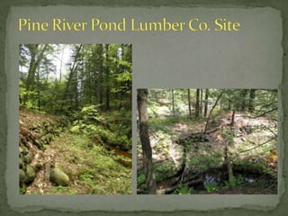 Libby & Woodman – Chick Mill Site