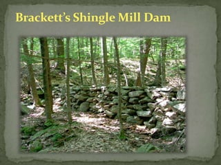 Pine River Pond Lumber Co. Site