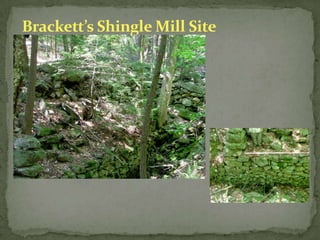 Pine Brook Mill Site
