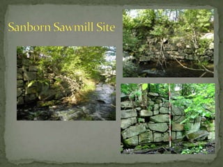 Brackett’s Shingle Mill Site