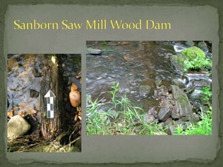 Lovell Lake Dam Site1805 Cook Map