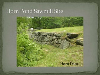 Union Meadows Dam Site
