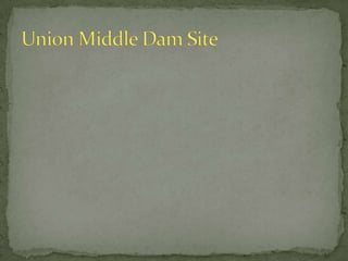 Wiggin Saw Mill Site